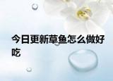 今日更新草魚怎么做好吃