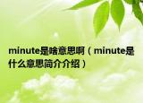 minute是啥意思?。╩inute是什么意思簡介介紹）