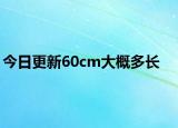 今日更新60cm大概多長(zhǎng)