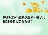 褲子尺碼28是多少厘米（褲子尺碼28是多大簡(jiǎn)介介紹）