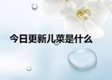 今日更新兒菜是什么