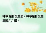 種草 是什么意思（種草是什么意思簡(jiǎn)介介紹）