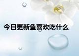今日更新魚喜歡吃什么