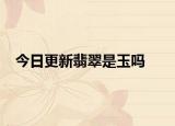 今日更新翡翠是玉嗎