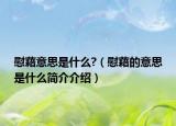 慰藉意思是什么?（慰藉的意思是什么簡介介紹）