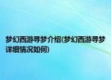 夢幻西游尋夢介紹(夢幻西游尋夢詳細情況如何)