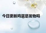 今日更新雞蛋是發(fā)物嗎