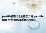 pentile排列(什么意思介紹 pentile排列 什么意思詳細(xì)情況如何)