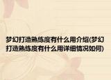 夢(mèng)幻打造熟練度有什么用介紹(夢(mèng)幻打造熟練度有什么用詳細(xì)情況如何)