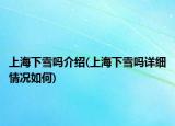 上海下雪嗎介紹(上海下雪嗎詳細(xì)情況如何)