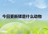 今日更新猱是什么動(dòng)物
