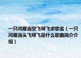 一只鴻雁當(dāng)空飛呀飛求歌名（一只鴻雁當(dāng)頭飛呀飛是什么歌曲簡(jiǎn)介介紹）