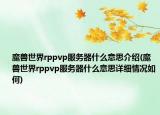 魔獸世界rppvp服務器什么意思介紹(魔獸世界rppvp服務器什么意思詳細情況如何)