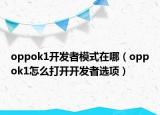 oppok1開發(fā)者模式在哪（oppok1怎么打開開發(fā)者選項）