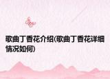 歌曲丁香花介紹(歌曲丁香花詳細(xì)情況如何)