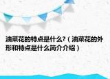油菜花的特點(diǎn)是什么?（油菜花的外形和特點(diǎn)是什么簡(jiǎn)介介紹）