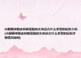 小眼睛單眼皮和鵝蛋臉的女孩適合什么類型的短發(fā)介紹(小眼睛單眼皮和鵝蛋臉的女孩適合什么類型的短發(fā)詳細(xì)情況如何)