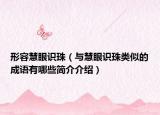 形容慧眼識(shí)珠（與慧眼識(shí)珠類似的成語有哪些簡(jiǎn)介介紹）
