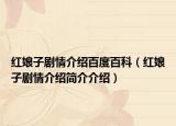 紅娘子劇情介紹百度百科（紅娘子劇情介紹簡(jiǎn)介介紹）