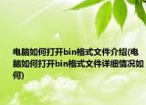 電腦如何打開(kāi)bin格式文件介紹(電腦如何打開(kāi)bin格式文件詳細(xì)情況如何)