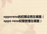 opporeno的權(quán)限設(shè)置在哪里（oppo reno權(quán)限管理在哪里）