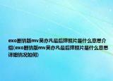 exo劇情版mv吳亦凡最后摔照片是什么意思介紹(exo劇情版mv吳亦凡最后摔照片是什么意思詳細(xì)情況如何)