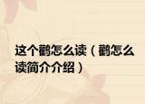 這個(gè)鸛怎么讀（鸛怎么讀簡(jiǎn)介介紹）