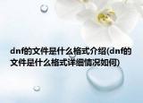 dnf的文件是什么格式介紹(dnf的文件是什么格式詳細(xì)情況如何)