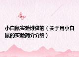 小白鼠實驗誰做的（關(guān)于用小白鼠的實驗簡介介紹）