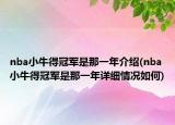 nba小牛得冠軍是那一年介紹(nba小牛得冠軍是那一年詳細(xì)情況如何)