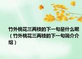 竹外桃花三兩枝的下一句是什么呢（竹外桃花三兩枝的下一句簡介介紹）
