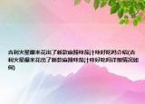 吉利火星爆米花出了新款麻辣味茄汁味好吃嗎介紹(吉利火星爆米花出了新款麻辣味茄汁味好吃嗎詳細情況如何)