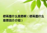 修葺是什么意思啊（修葺是什么意思簡介介紹）