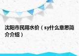 沈陽市民用水價（sy什么意思簡介介紹）