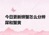 今日更新螃蟹怎么分辨屎和蟹黃