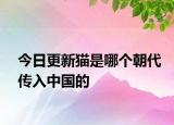 今日更新貓是哪個(gè)朝代傳入中國(guó)的