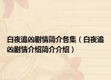 白夜追兇劇情簡介各集（白夜追兇劇情介紹簡介介紹）
