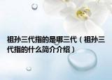 祖孫三代指的是哪三代（祖孫三代指的什么簡介介紹）