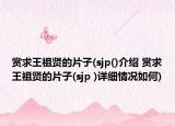 賞求王祖賢的片子(sjp()介紹 賞求王祖賢的片子(sjp )詳細(xì)情況如何)