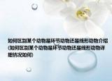 如何區(qū)別某個(gè)動(dòng)物是環(huán)節(jié)動(dòng)物還是線形動(dòng)物介紹(如何區(qū)別某個(gè)動(dòng)物是環(huán)節(jié)動(dòng)物還是線形動(dòng)物詳細(xì)情況如何)