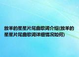 放羊的星星片尾曲歌詞介紹(放羊的星星片尾曲歌詞詳細(xì)情況如何)