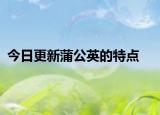 今日更新蒲公英的特點