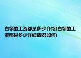 白領(lǐng)的工資都是多少介紹(白領(lǐng)的工資都是多少詳細情況如何)