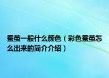 蠶繭一般什么顏色（彩色蠶繭怎么出來的簡介介紹）
