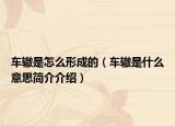 車轍是怎么形成的（車轍是什么意思簡(jiǎn)介介紹）
