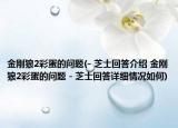 金剛狼2彩蛋的問題(- 芝士回答介紹 金剛狼2彩蛋的問題 - 芝士回答詳細情況如何)