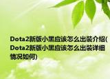 Dota2新版小黑應(yīng)該怎么出裝介紹(Dota2新版小黑應(yīng)該怎么出裝詳細(xì)情況如何)