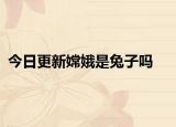 今日更新嫦娥是兔子嗎