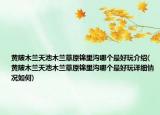 黃陂木蘭天池木蘭草原錦里溝哪個(gè)最好玩介紹(黃陂木蘭天池木蘭草原錦里溝哪個(gè)最好玩詳細(xì)情況如何)