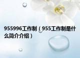 955996工作制（955工作制是什么簡介介紹）